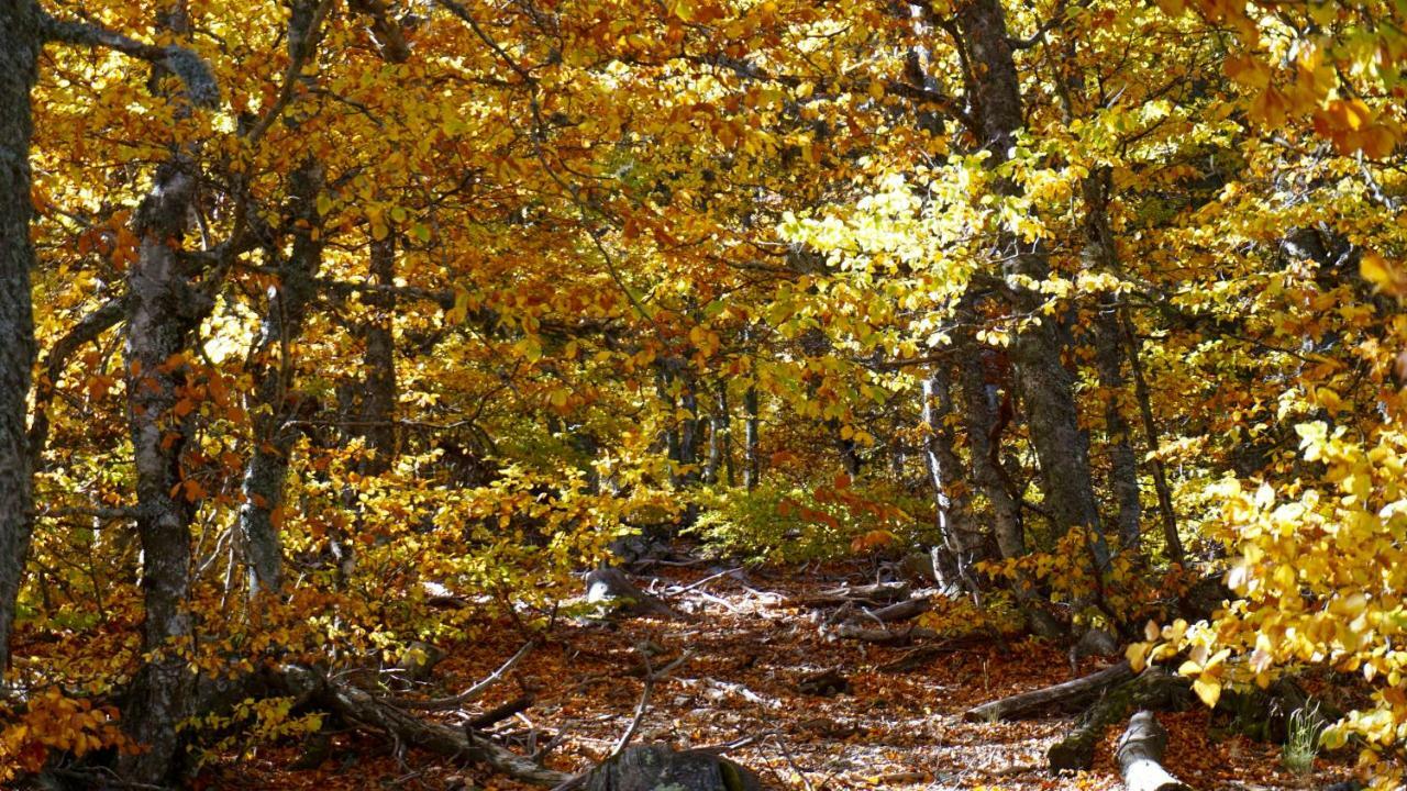 La Belle Histoire Gite Ventoux Bedoin Ngoại thất bức ảnh